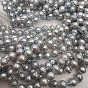 1/2連*ツヤ良し♪ナチュラル*ブルーグレー*アコヤ真珠*約7.5～7.9ｍｍ - aoneko_gems