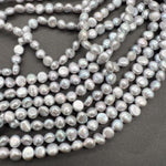 ツヤ良し♪フラットバック＊染めグレー＊淡水パール*約5.5ｍｍ前後 - aoneko_gems