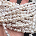 つるんと♪サークルありライス*淡水パール*約9×5ｍｍ前後*オールノットにも♪MK001 - 0701 - aoneko_gems